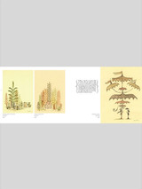 Amazing Everything: The Art of Scott C.