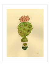 Desert Float: Pinkly