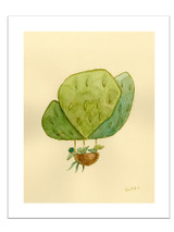 Desert Float: Sans Flowerly