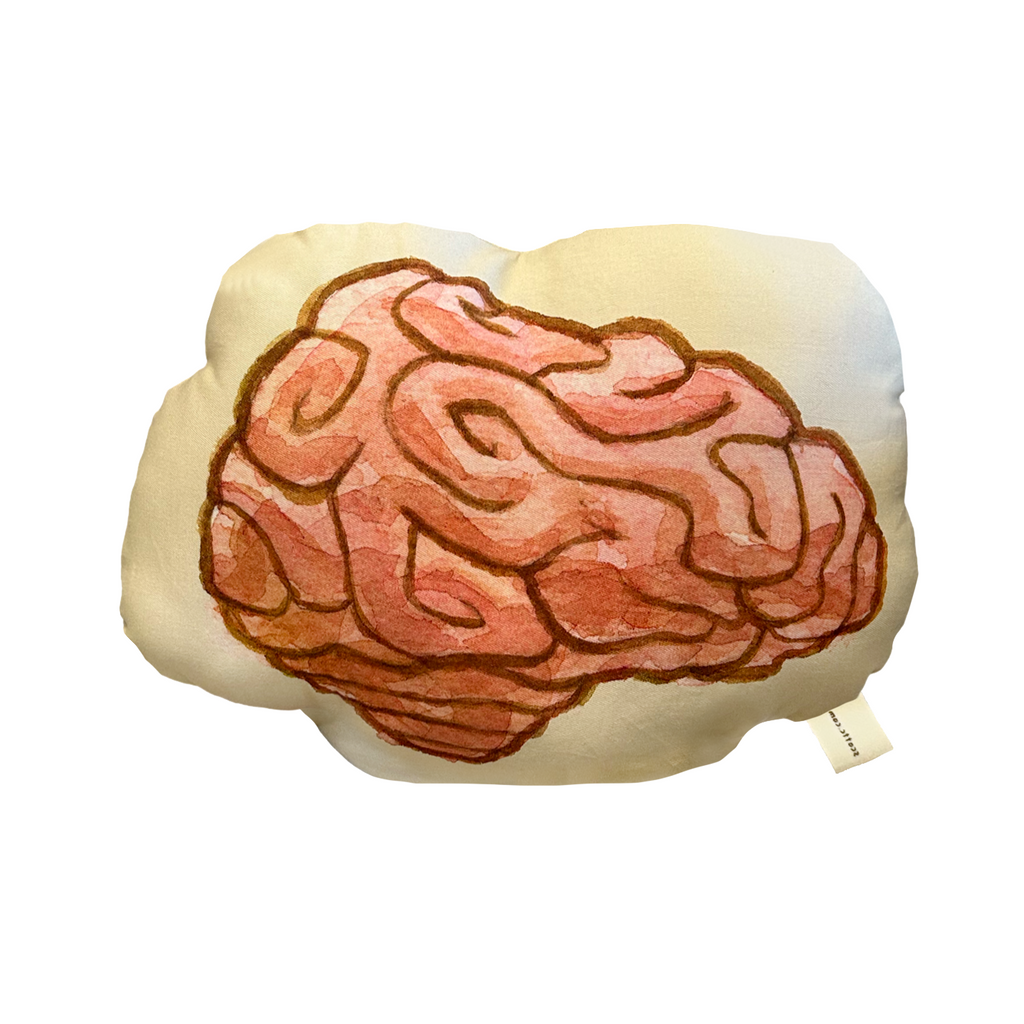 Psychonauts Raz And The Brain Decorative Throw Pillow