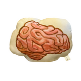 Psychonauts Raz And The Brain Decorative Throw Pillow